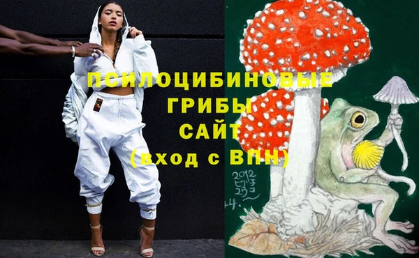 ALPHA PVP Алексин