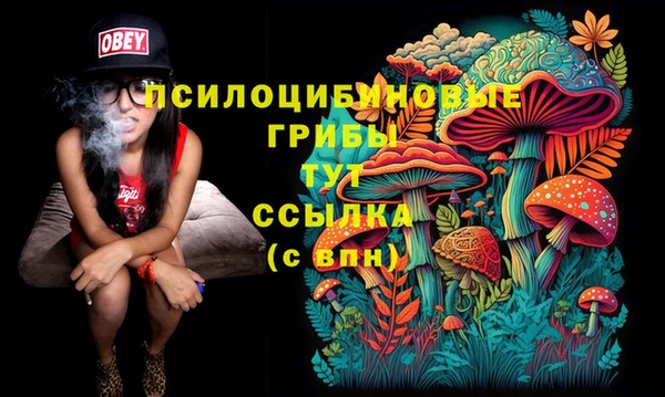 ПСИЛОЦИБИНОВЫЕ ГРИБЫ Абаза