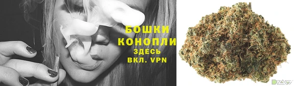 ПСИЛОЦИБИНОВЫЕ ГРИБЫ Абаза