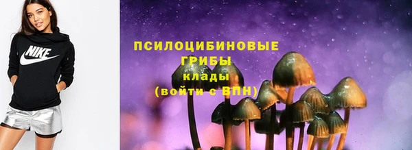 ПСИЛОЦИБИНОВЫЕ ГРИБЫ Абаза