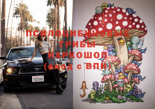 ПСИЛОЦИБИНОВЫЕ ГРИБЫ Абаза