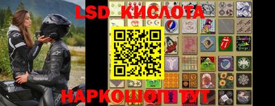 прущие грибы Лесосибирск