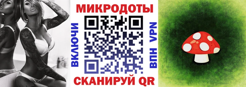 omg tor  Отрадный  Псилоцибиновые грибы Magic Shrooms 