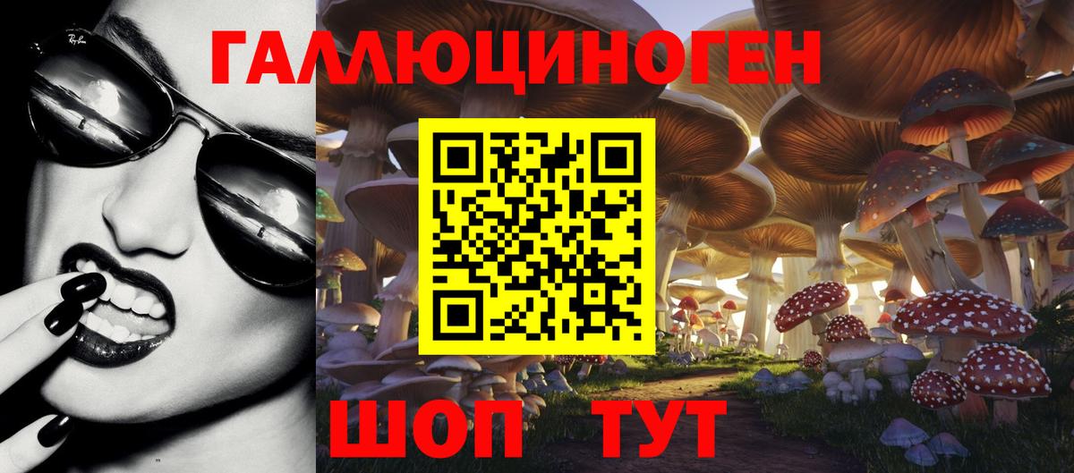 Галлюциногенные грибы Psilocybe Отрадный